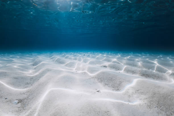 istock Tropical blue ocean with white sand underwater 2151306389