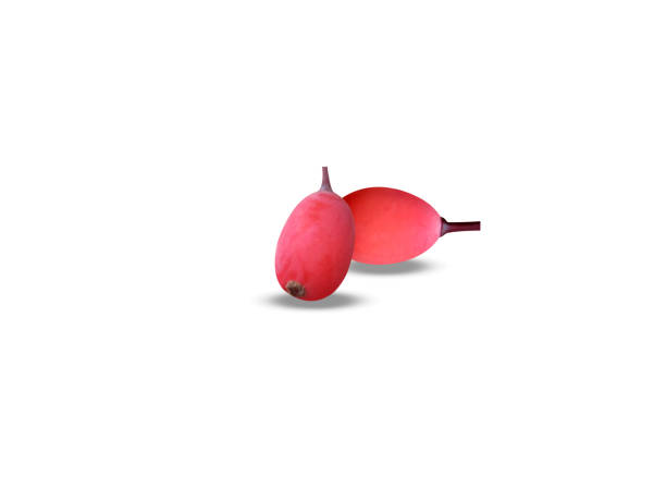 istock Berberis vulgaris fruits 2151307761