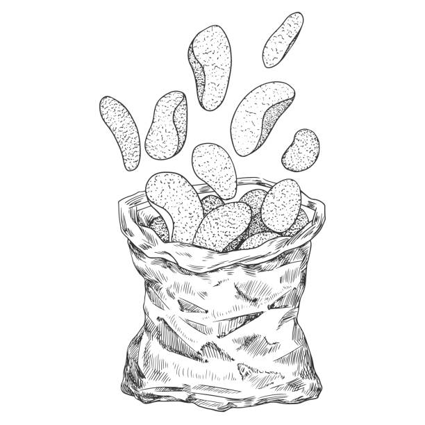 Opened package of potato chips isolated on white background. Sketch style black and white chips flying out of packaging