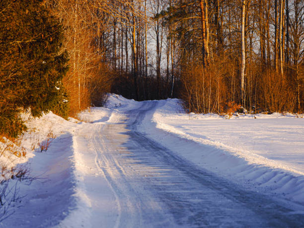 A empty country road during winter