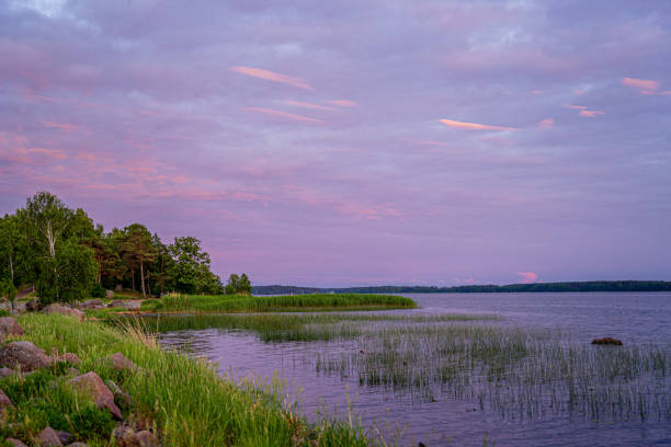 beautiful scenic evening sunset landscape with purple, pink, vanilla, pastel sky with beautiful clouds, green trees and stones