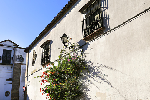 Sanlucar de Barrameda, Cadiz, Spain- October 2, 2023: Typical narrow street and beautiful houses in Sanlucar de Barrameda, Cadiz, Spain