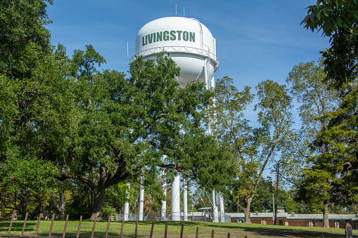 Livingston water tower seen behind the trees in Polk County, Texas, United States