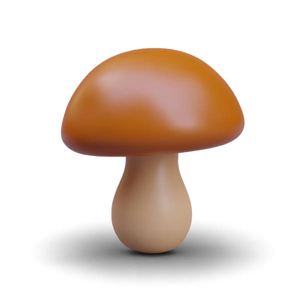 istock Popular edible mushroom in vertical position. Autumn forest concept 2151318378