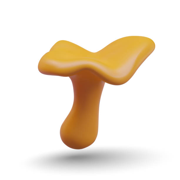 istock Yellow chanterelle. Edible curved mushroom. Autumn forest harvest 2151318442