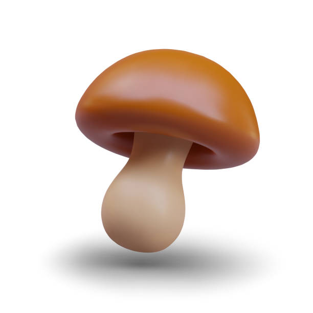 istock Delicious mushroom for aromatic dishes. Forest ingredient for gourmet cuisine 2151318686