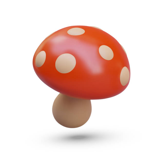 istock Red mushroom with shadow on white background. Autumn season forest plant 2151318797