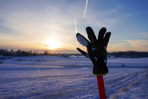 a forgotten mitten on a pole in front of a field