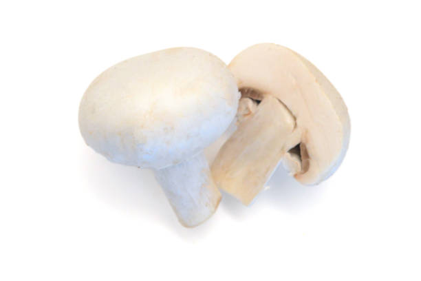istock A sections of mushroom on white background 2151332721