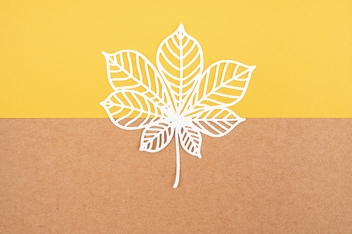 Tropical leaf made from paper cutting on yellow color background.