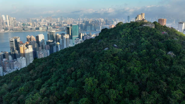 istock Hong Kong harbour crowded skyscraper cityscape from hillside China 2151348980