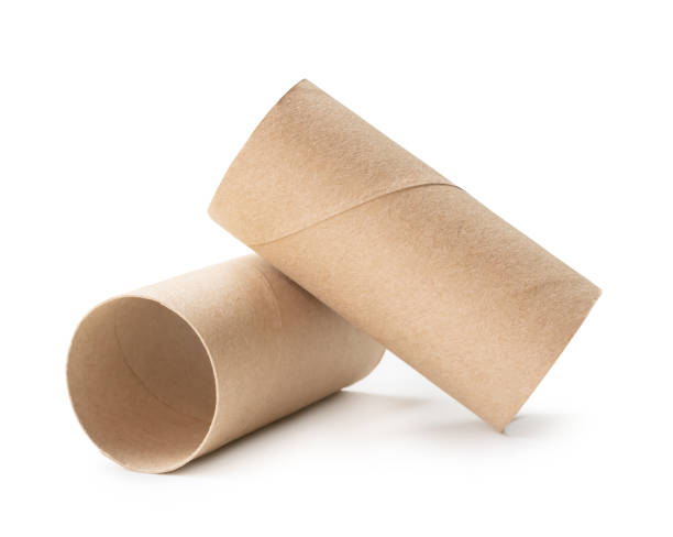 istock Side view of brown tissue paper cores in stack isolated on white background with clipping path 2151354655