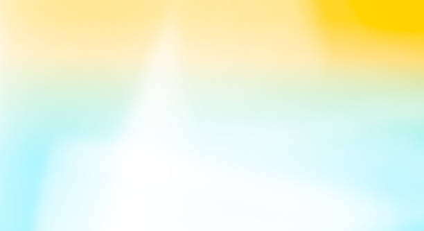 Abstract Backgrund summer Blue Yellow Overlay Summer Sun Shadow Leaf White Gradient Color Blur Room Cement Floor Wall Backdrop Mockup Product Beauty Cosmetic Presentation Minimal Empty Card  Tropical.