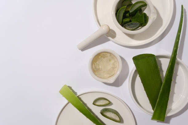 istock Various porcelain round dish in different containing fresh aloe vera placed on the right size of photo. Vacant space on the left side for displaying product and adding text 2151359681
