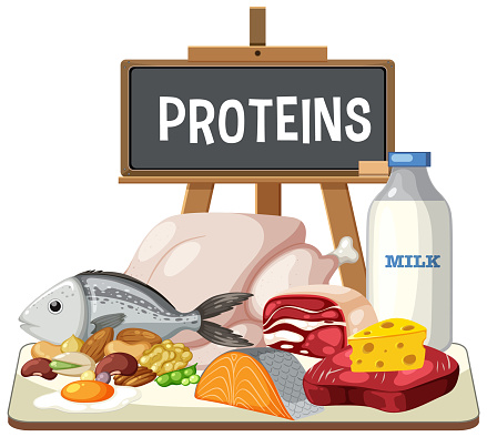 Illustration of diverse protein-rich foods on a table.