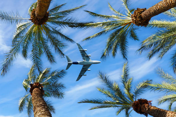 istock Jet airliner flying above California palm trees 2151362168