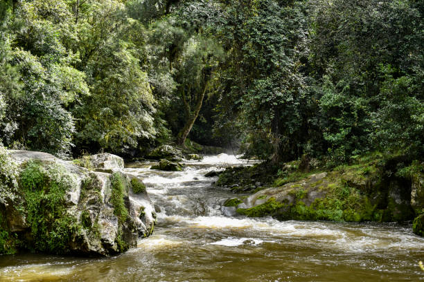istock cascades at Ladies Well 2151364121