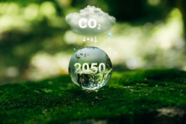 istock Carbon neutral and net zero or co2 emission for target in 2050 for a sustainable environment. 2151364780