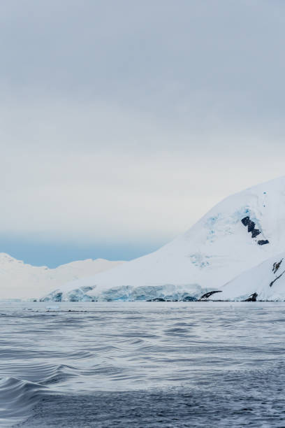 istock Landscape of the Antarctic Peninsula 2151364923