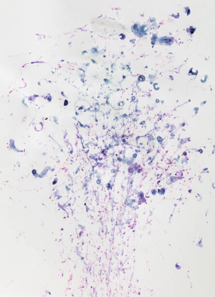 Bilberry stains on white paper. Abstract background.