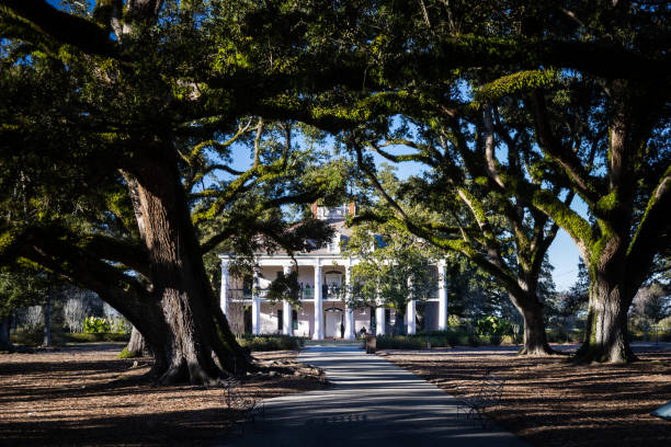 Oak Alley Plantation, New Orleans, Louisiana in a beautiful sunset