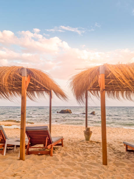 istock Landscape in a beach in Hammamet, Tunisia 2151370150