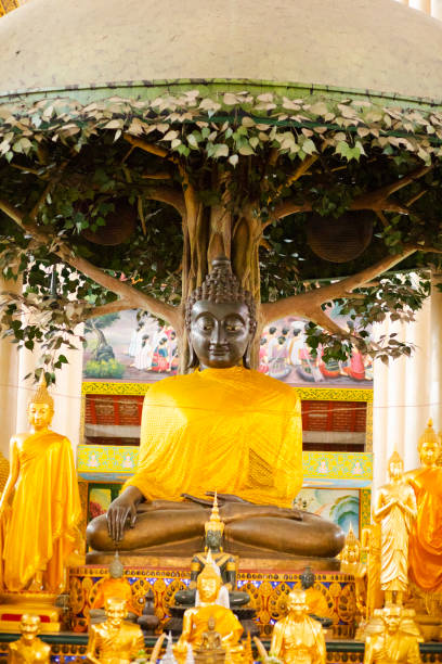 Several small and one big golden thai buddha statue below tree of life  in temple Wat Phra Phutthabat Huai Tom in Li District, Lamphun