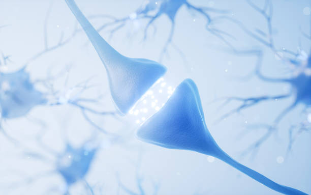 istock Biology nerve cell with biomedicine concept, 3d rendering. 2151372649