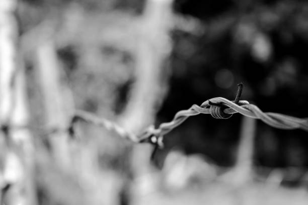 istock Bound Strength: The Subtle Tension of Wire 2151372781