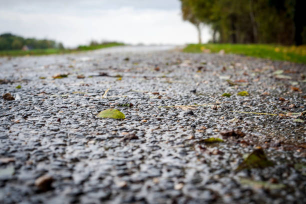 A close-up view of a wet asphalt road with scattered fallen leaves, capturing the texture and details of the road surface after a rain. The background is slightly blurred, emphasizing the close perspective of the foreground. The scene is set in a rural area with greenery on the sides, evoking a tranquil and peaceful atmosphere. The overcast sky and damp environment highlight the freshness of the rainy day, showcasing the natural beauty and serene quality of the countryside during autumn. This image captures the essence of a quiet, scenic route after a rainfall.