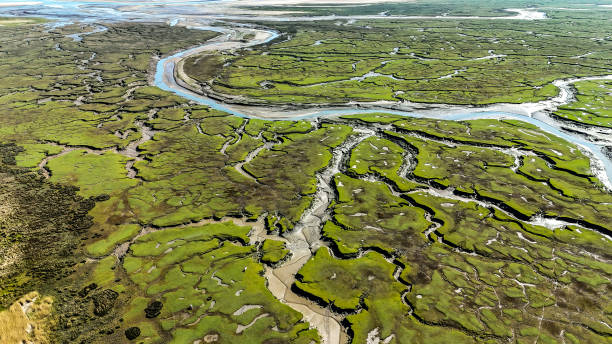 istock The streams of Llangennith Salt Marshes 2151375238