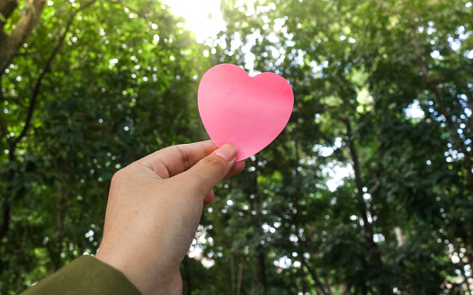 Hand holding pink love-shaped paper with trees in the background with blank space for text