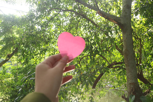 Hand holding pink love-shaped paper with trees in the background with blank space for text