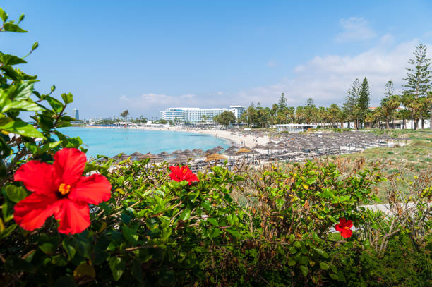 Landscape with Nissi beach, Ayia Napa, Cyprus island