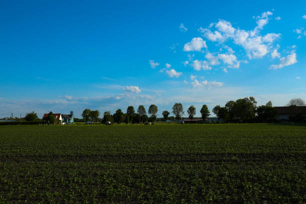 istock Feldmoching in munich bavaria, blue sky 2151379085