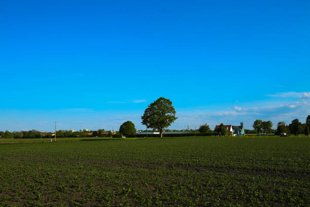 istock Feldmoching in munich bavaria, blue sky 2151379114