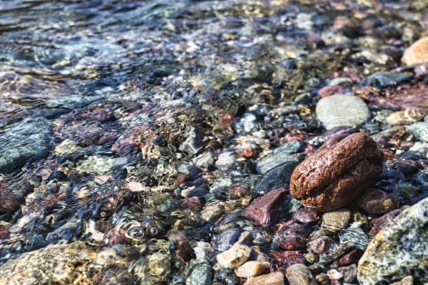istock colorful pebbles  in water 2151384636