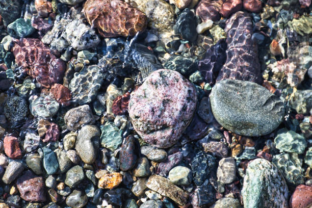 Ripples on the water surface in shallow water with colourful stones.