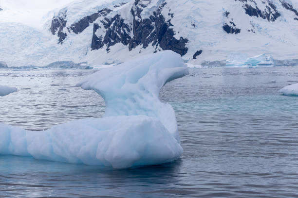 istock Portal Point, Charlotte Bay, Antarctica, Part 2 2151385394