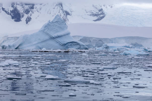 istock Portal Point, Charlotte Bay, Antarctica, Part 2 2151385419