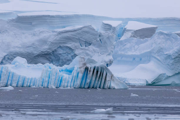 istock Portal Point, Charlotte Bay, Antarctica, Part 2 2151385716