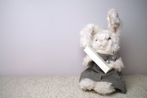 plush teddy bear