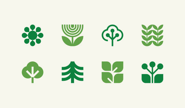 illustrations, cliparts, dessins animés et icônes de icônes géométriques de la nature - picto arbre