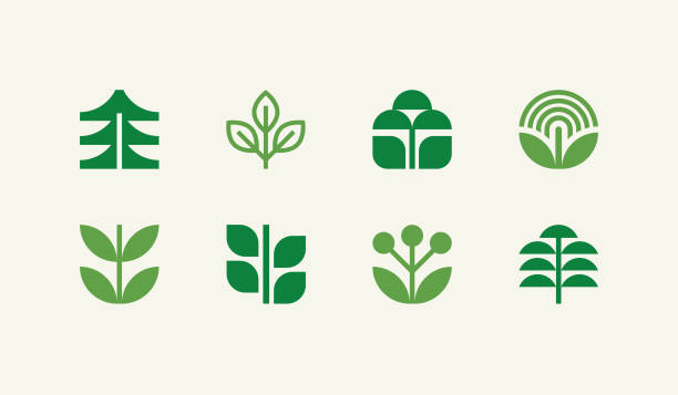 ilustraciones, imágenes clip art, dibujos animados e iconos de stock de iconos geométricos de la naturaleza - cabeza de flor