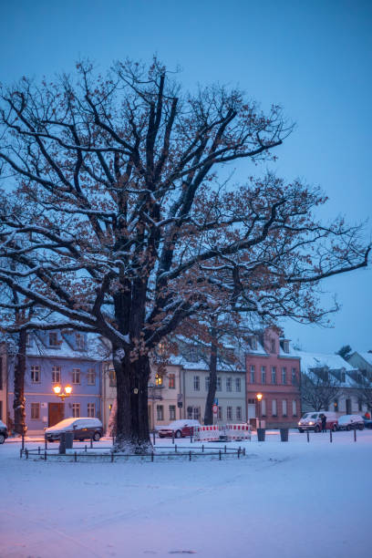 istock winter brandenburg snowing 2151402625