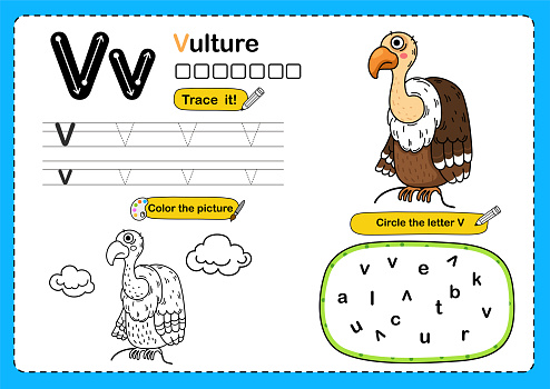 Illustration Isolated Animal Alphabet Letter V-vulture