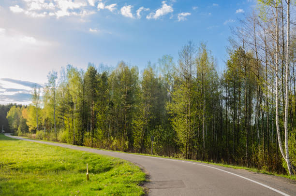 Free beautiful road along the forest, blue sky with clouds and sunrays. High quality photo