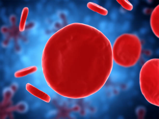 istock A healthy red blood cell against a blue abstract background 2151416361