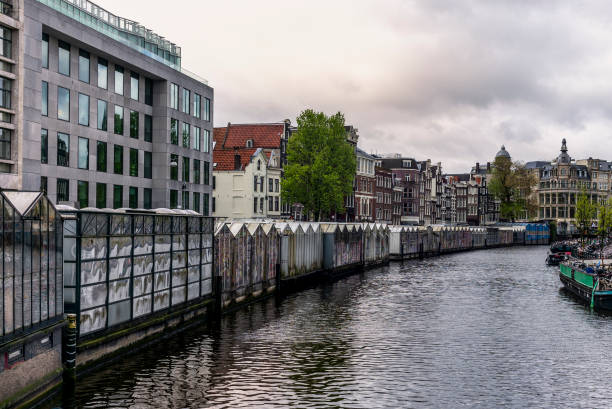 istock The floating Amsterdam Flower Market (