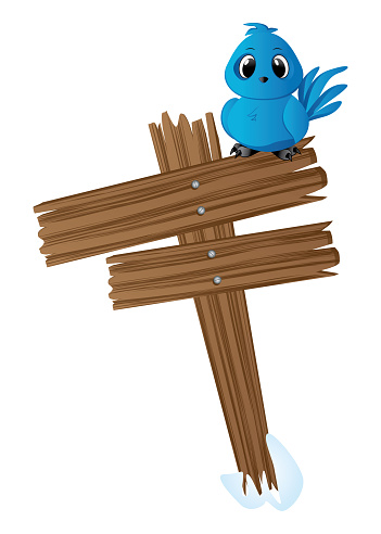 Cute little blue bird sitting on old wooden signboard.